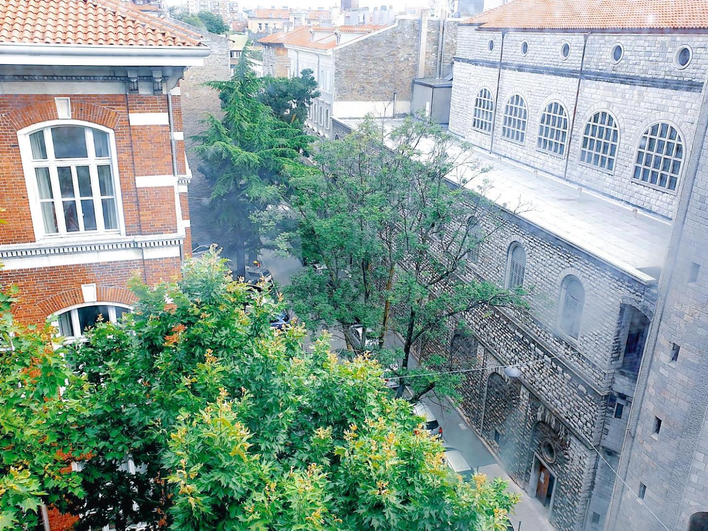 B&B Excelsior