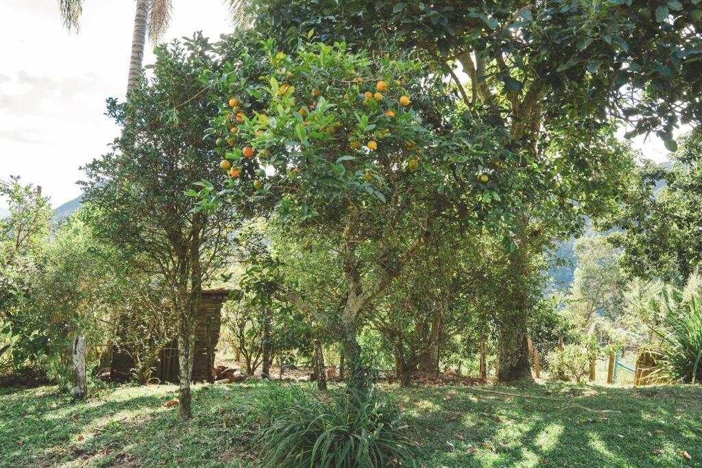 Nawe sua Casa na Montanha - Paiol Grande