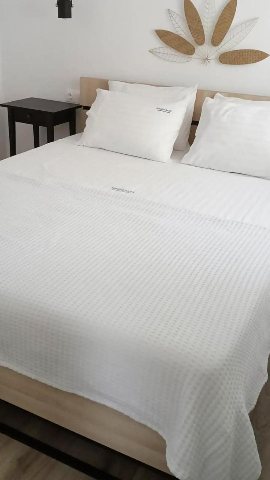 Seaside Oasis