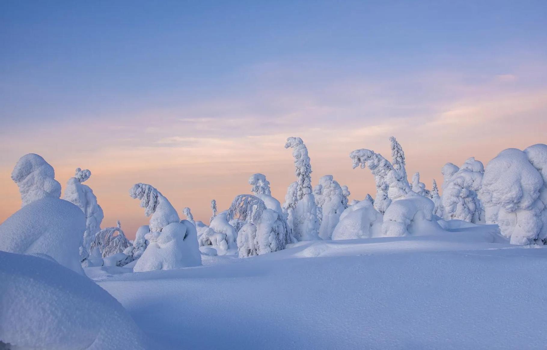 AuroraLevi Suites Utsuvaara Northern Lights Retreat, Ski-In-out, 2 ski pass included to price