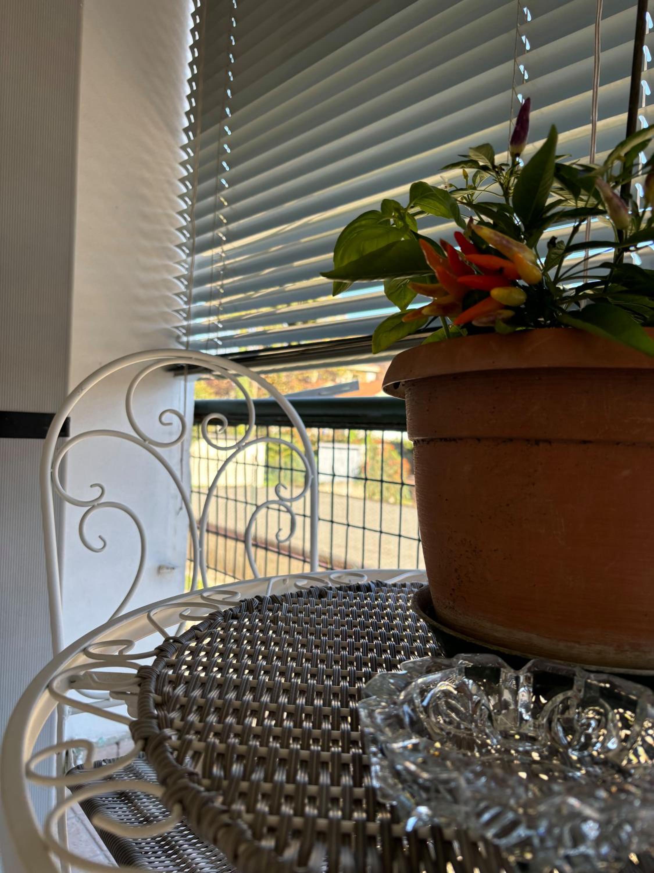 Somma Lombardo Vacations - BB Stella - Property Image 7