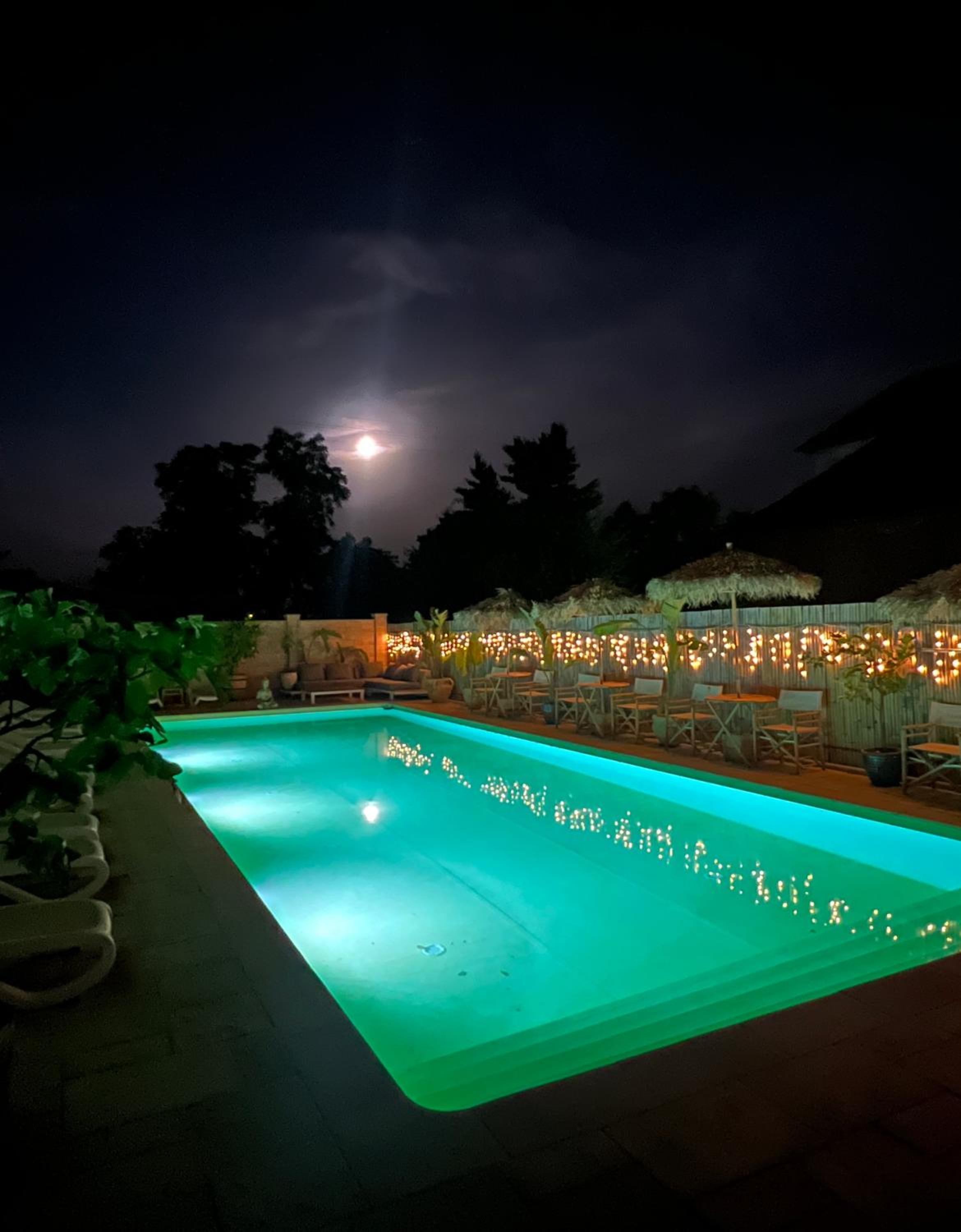 Photo 27