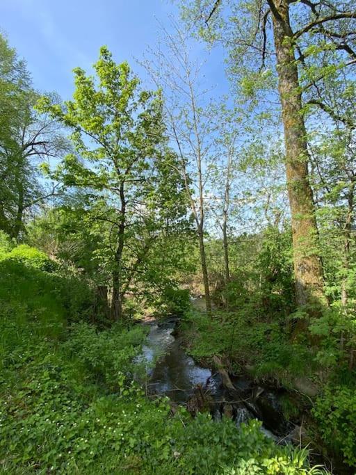 Ferien-und Monteurwohnung 'Friedersdorfer Mühle'
