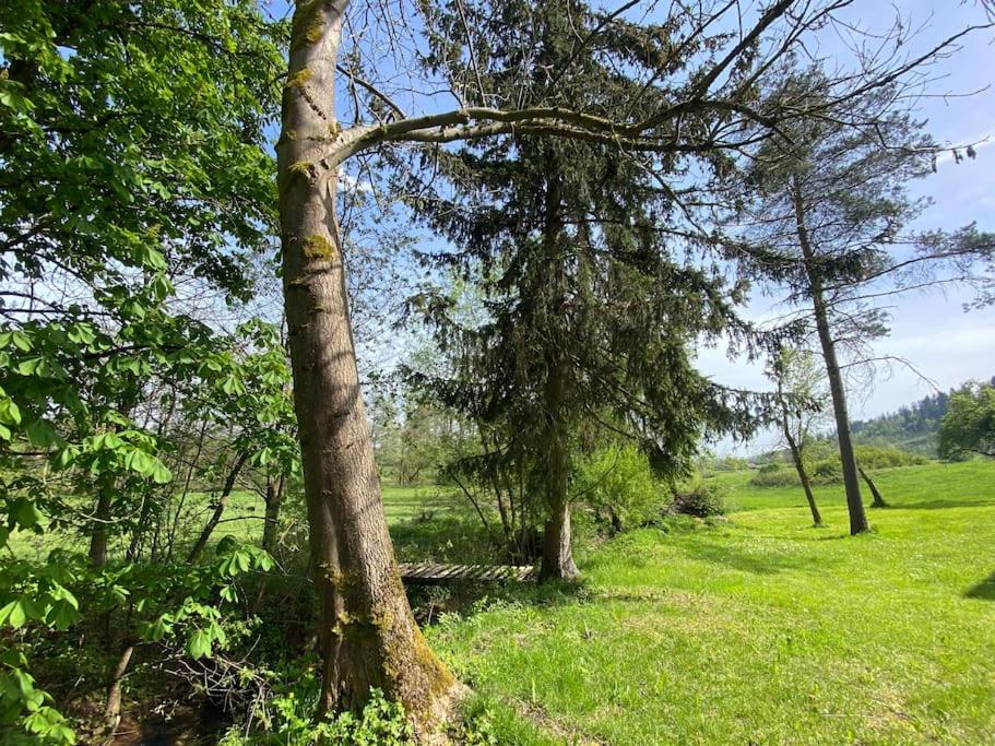 Ferien-und Monteurwohnung 'Friedersdorfer Mühle'