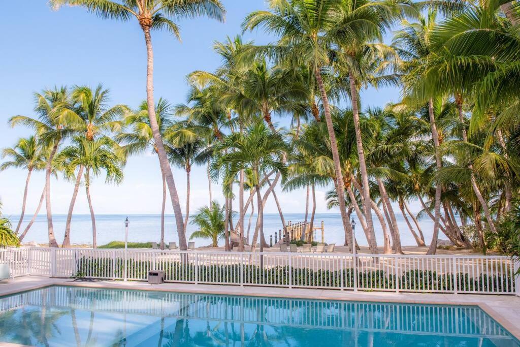 Island Palm Estate view 5