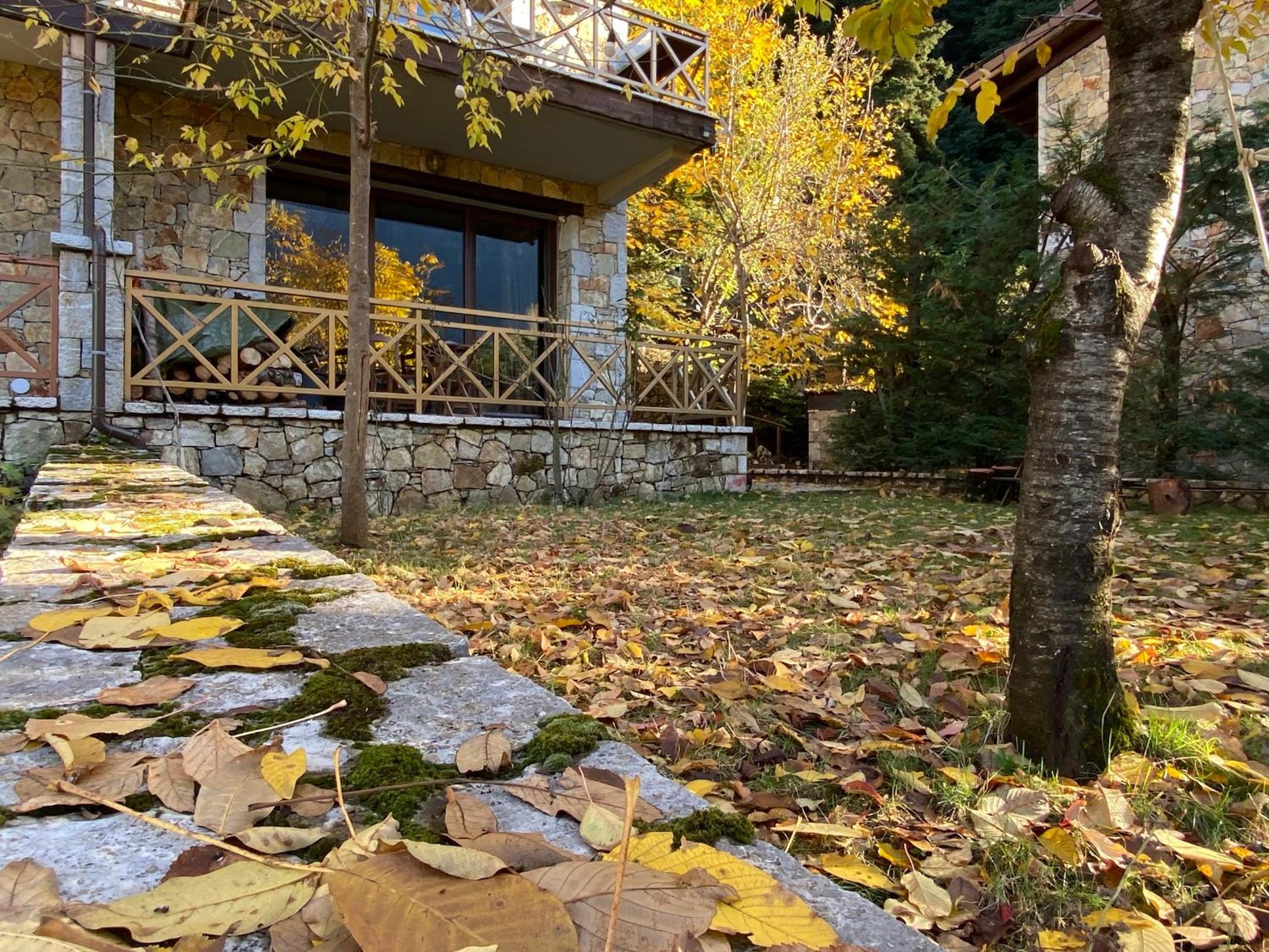 Pinecone Lodge, Eptalofos Wellness Garden Chalet