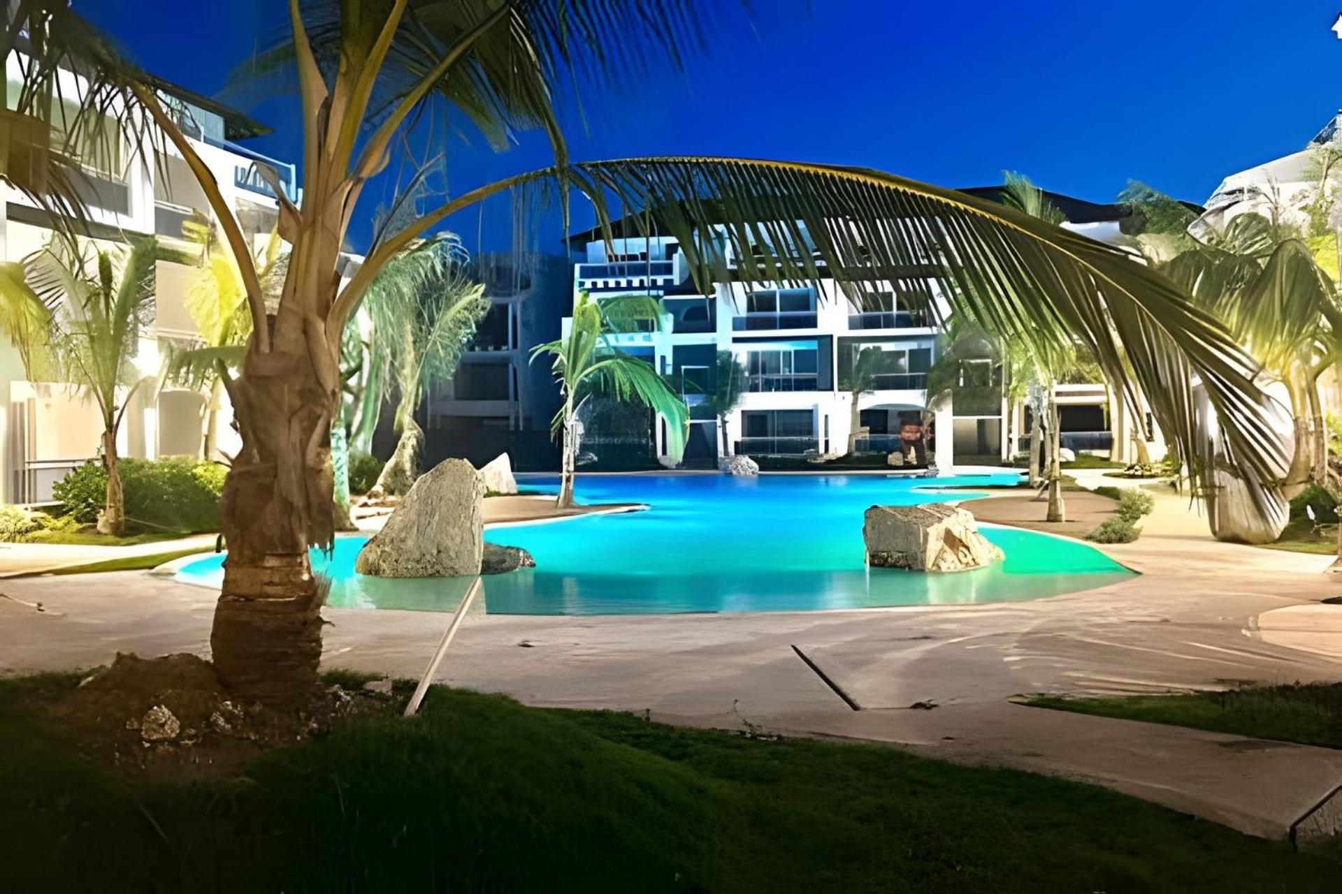 Estrella Dominicus Advantage