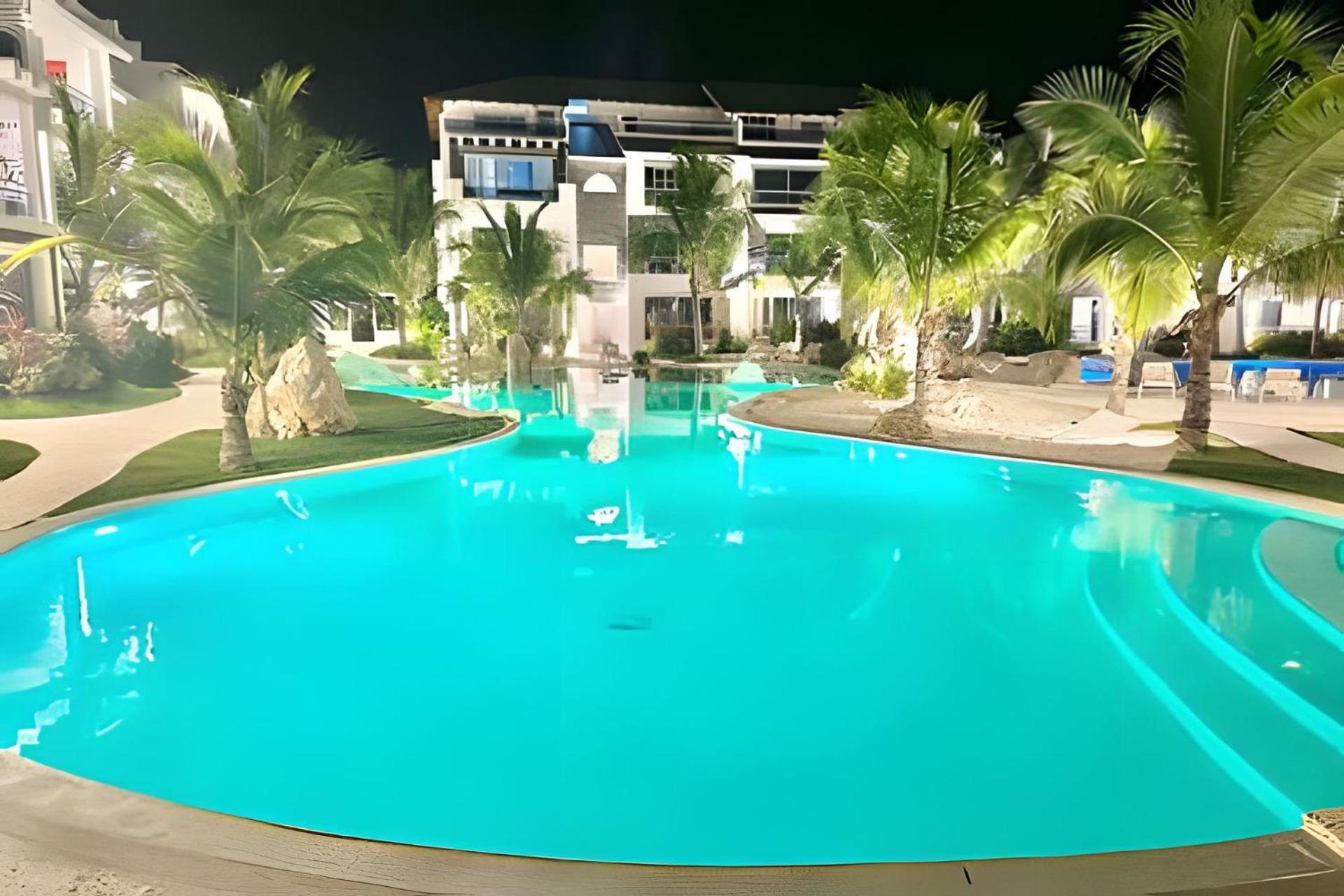 Estrella Dominicus Advantage