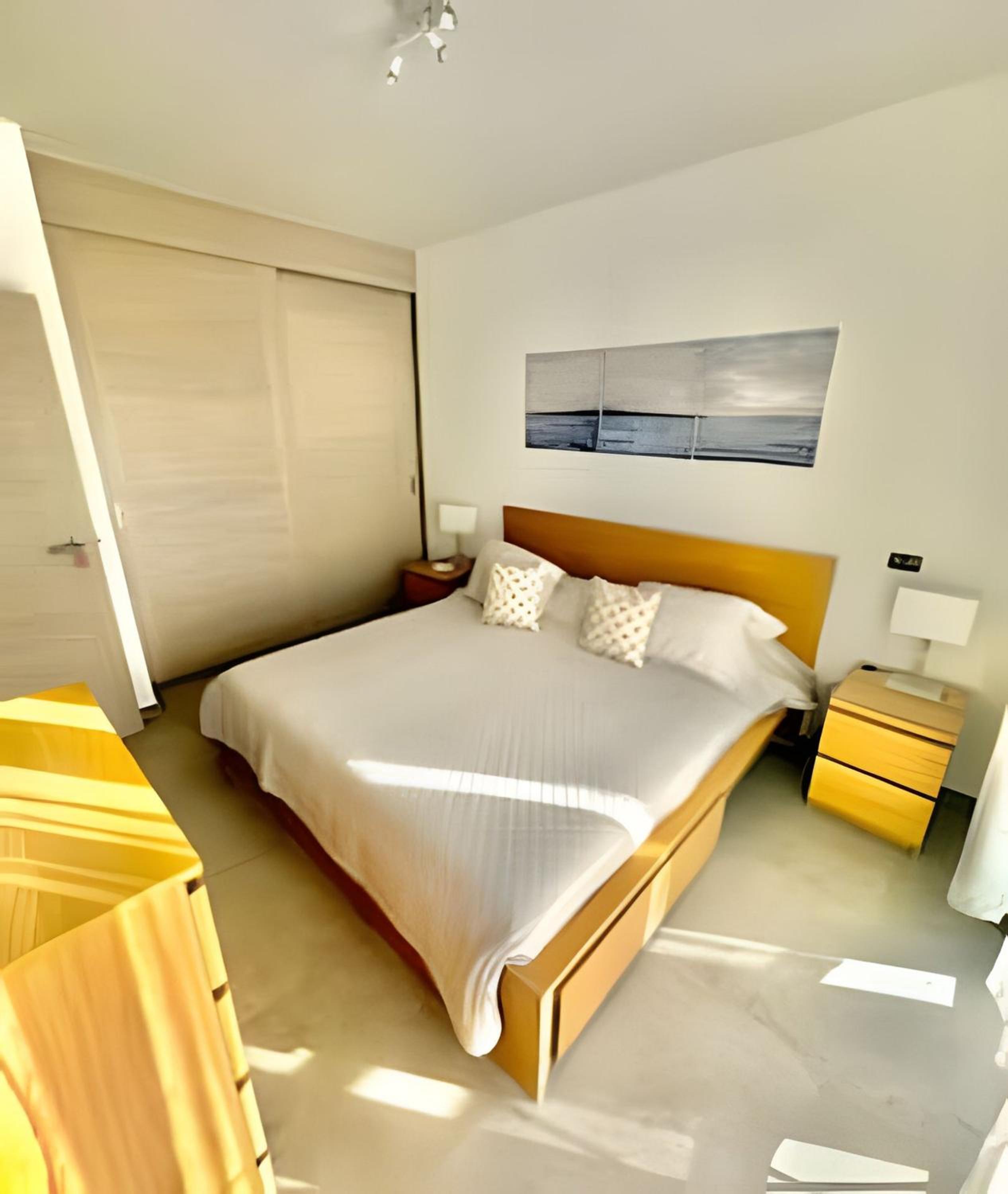 Estrella Dominicus Advantage