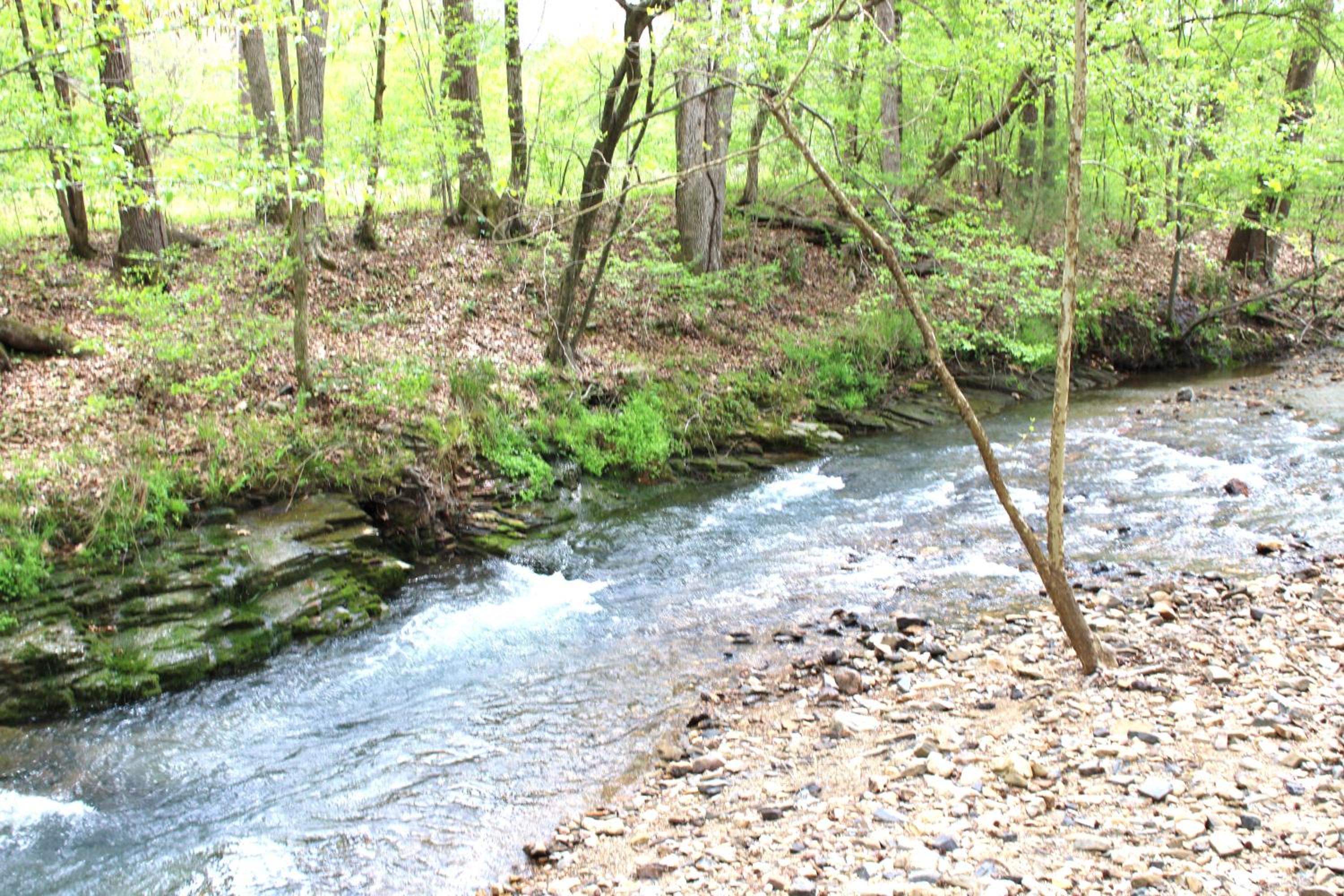 132 Catherine Park #3 (Red cabin) Romantic Cabin By the Creek