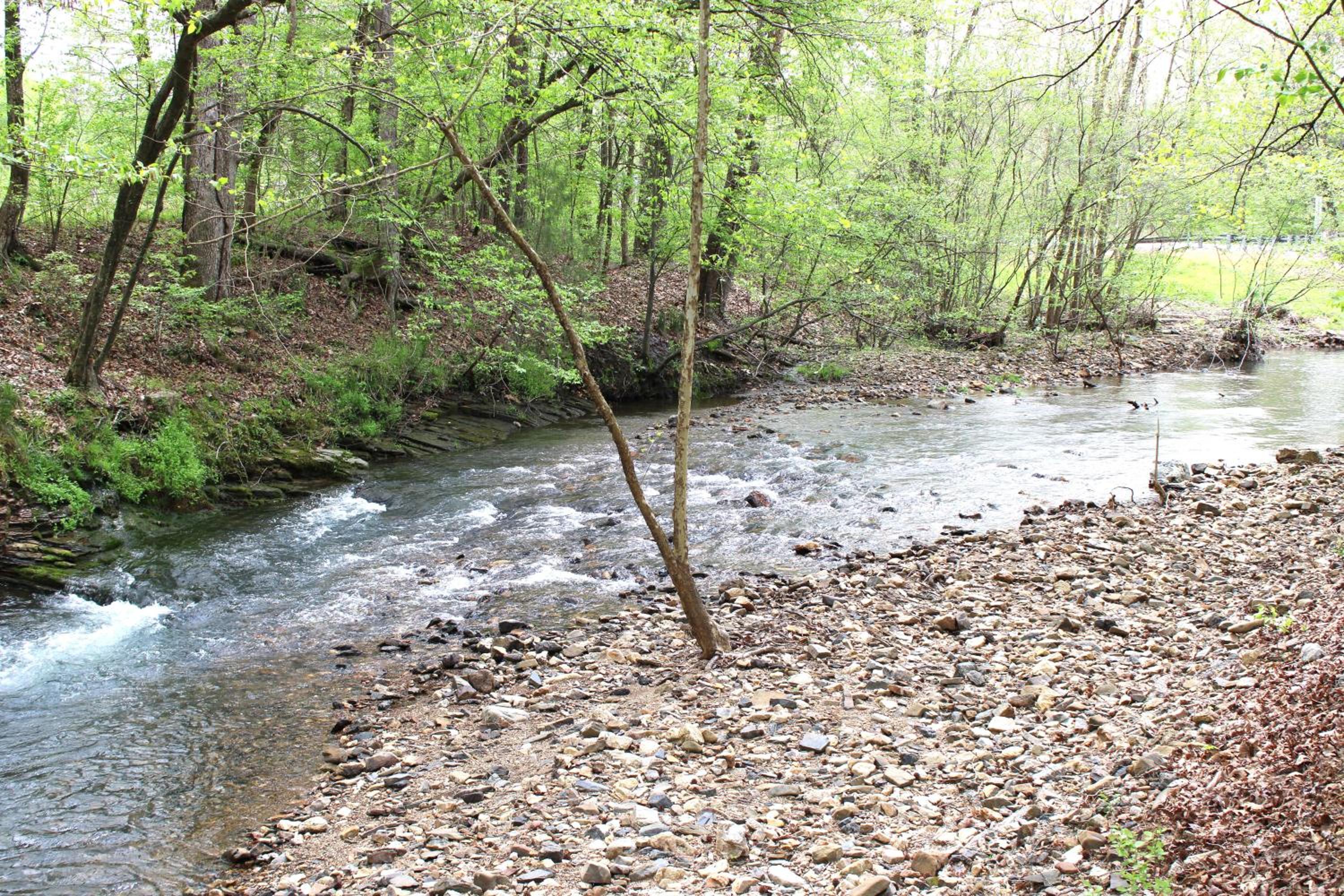 132 Catherine Park #3 (Red cabin) Romantic Cabin By the Creek