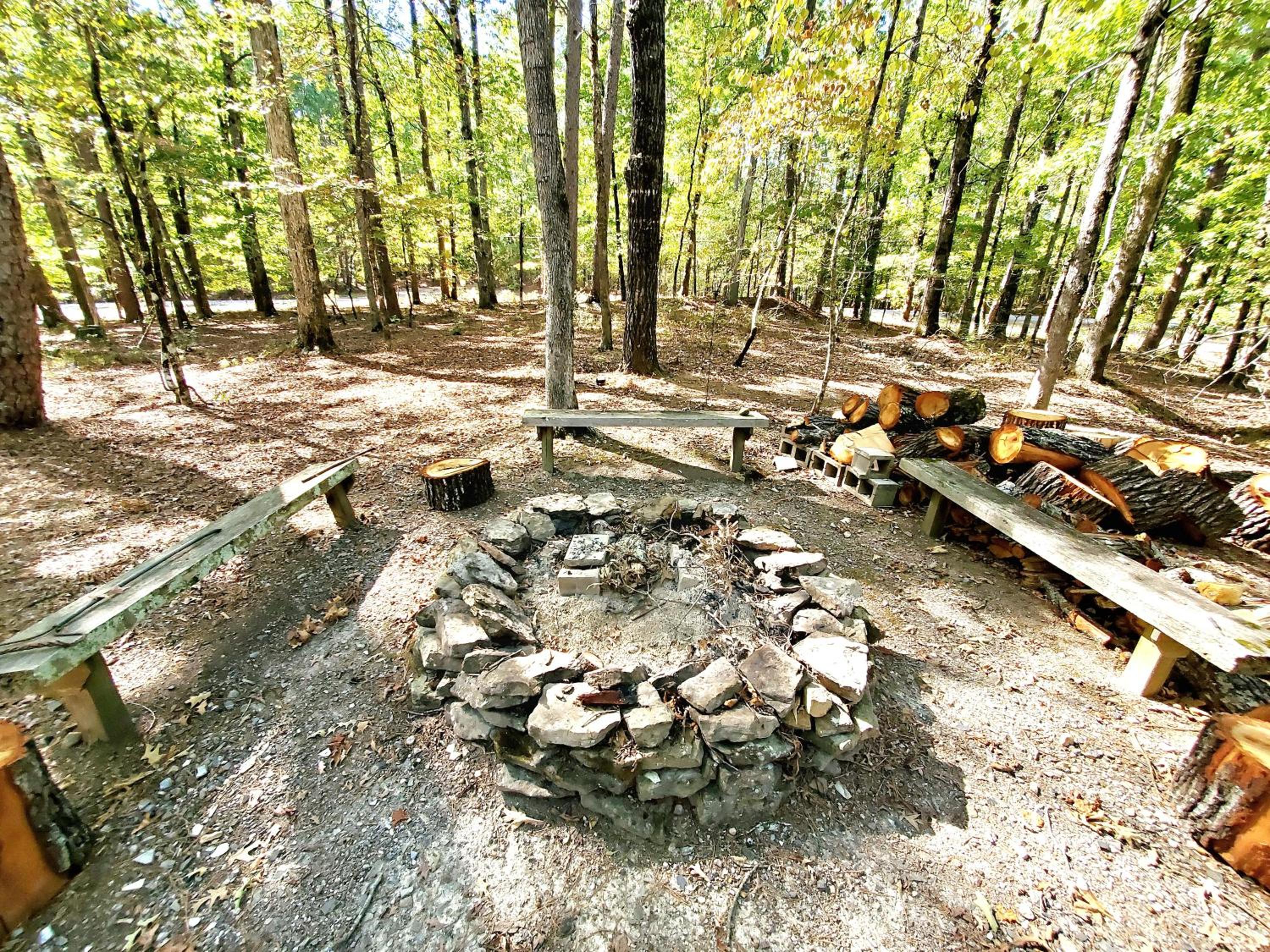 Woodland Hideaway Haven view 4