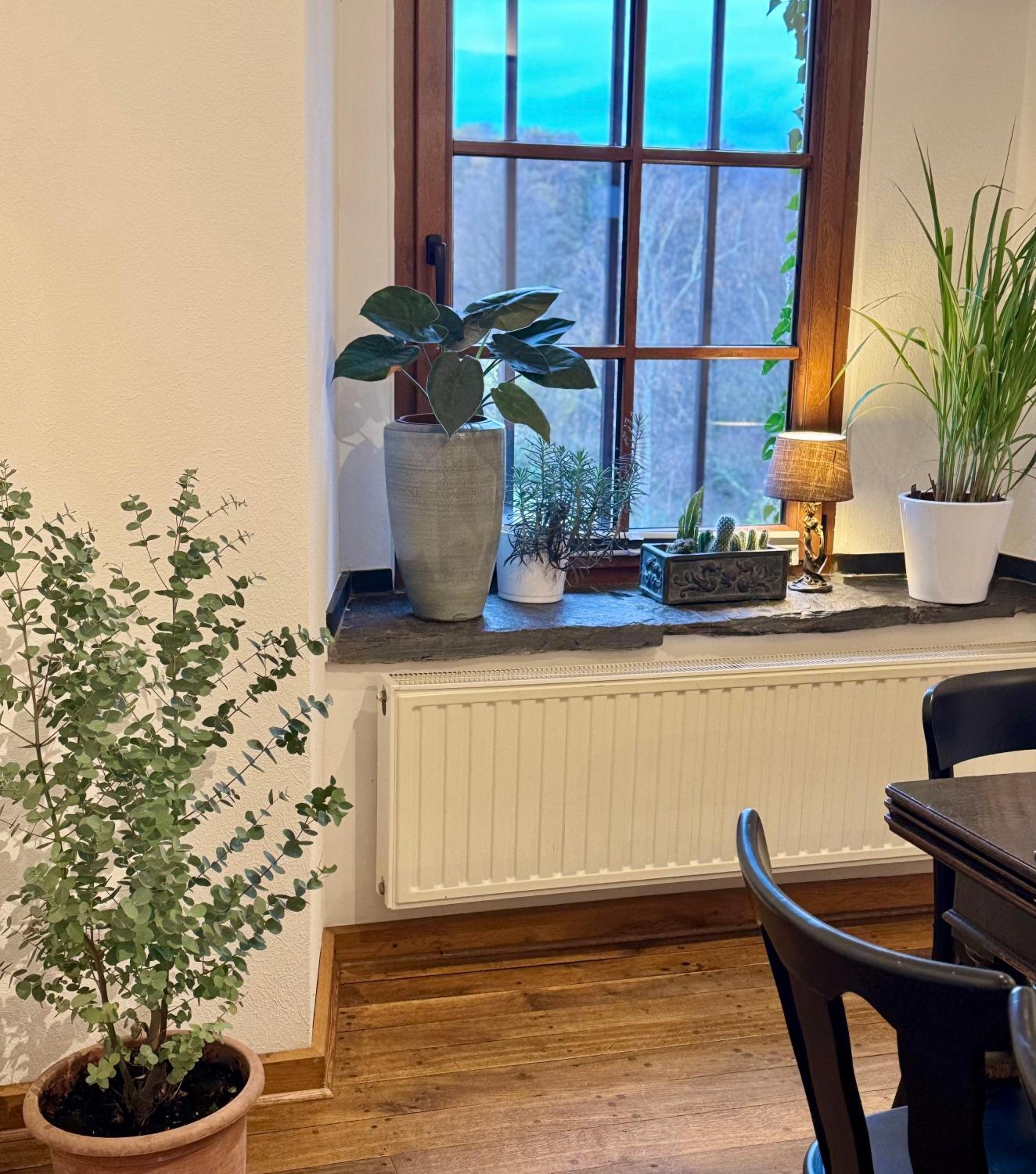 Ferienwohnung Burg Hausen