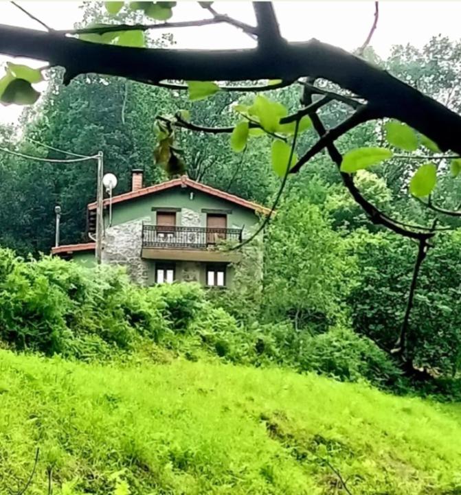 El Rincón de la Naturaleza