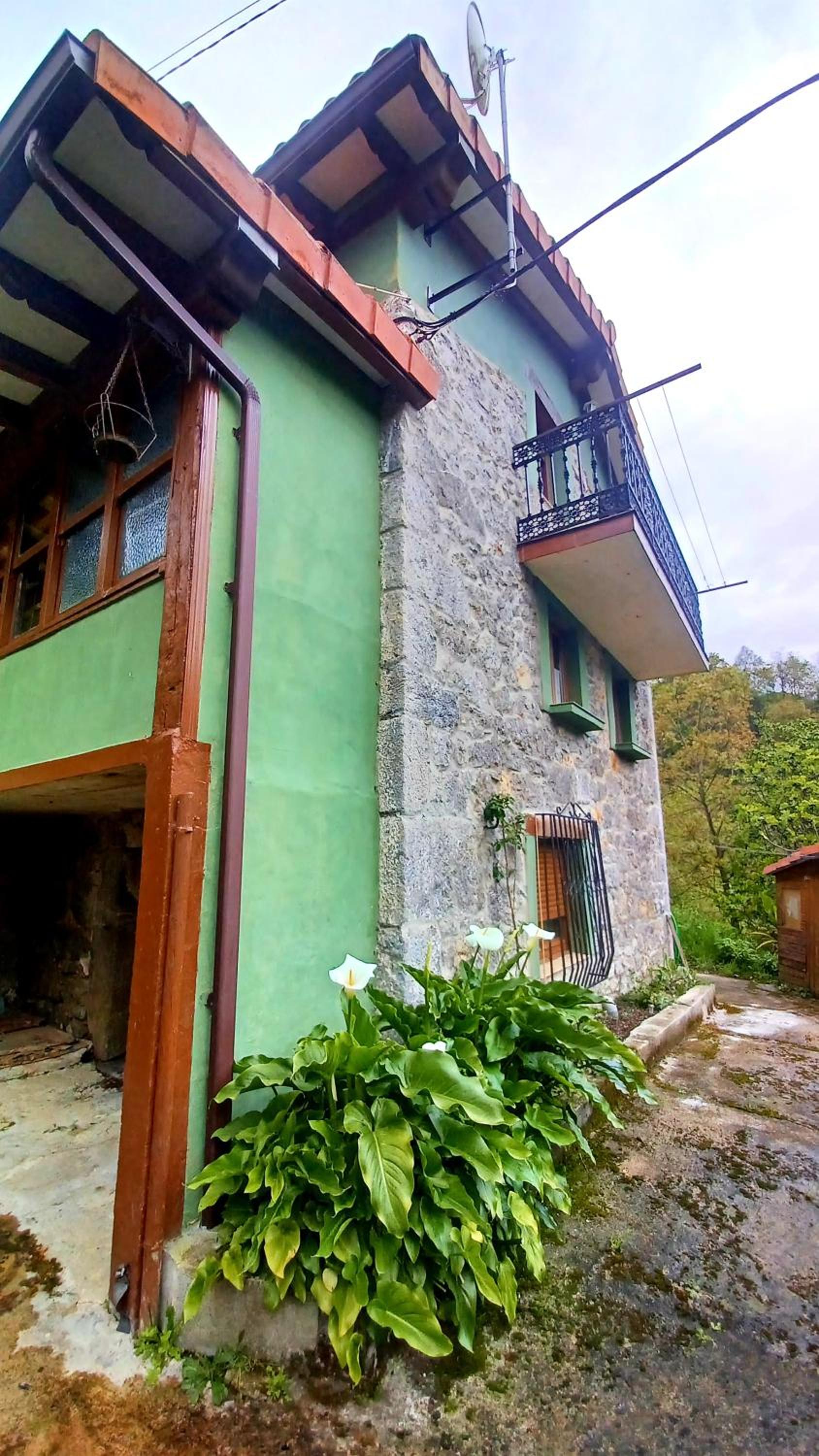 El Rincón de la Naturaleza