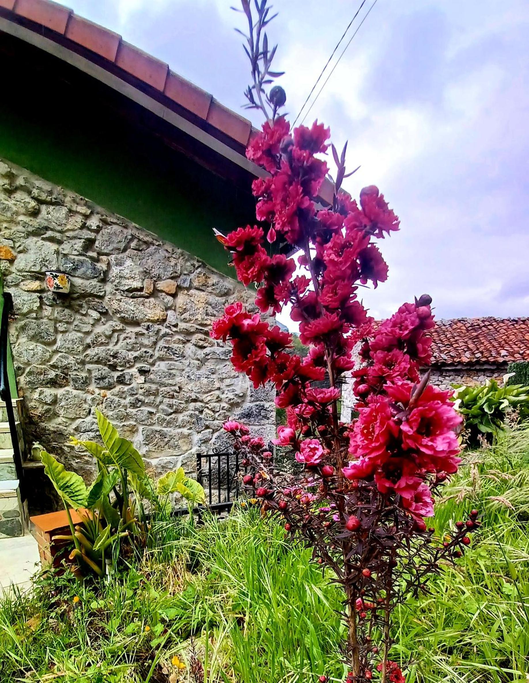 El Rincón de la Naturaleza