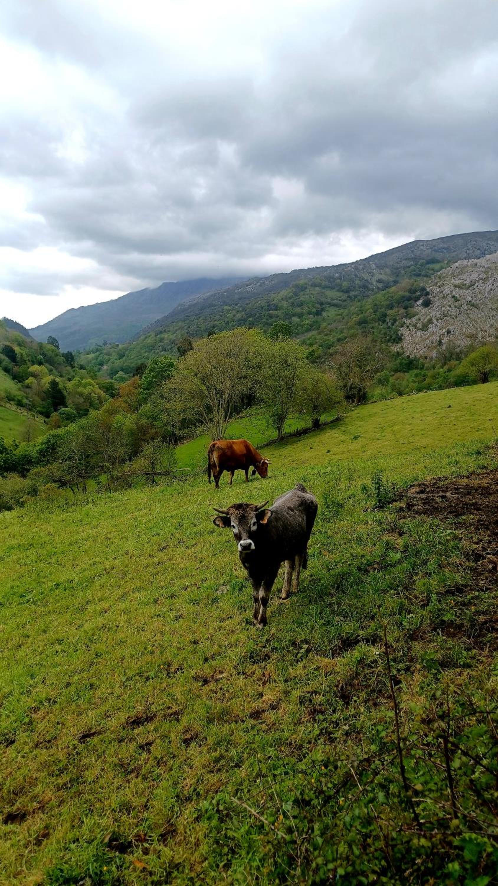 El Rincón de la Naturaleza