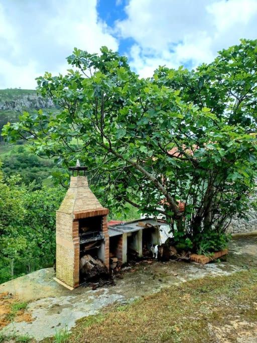 El Rincón de la Naturaleza