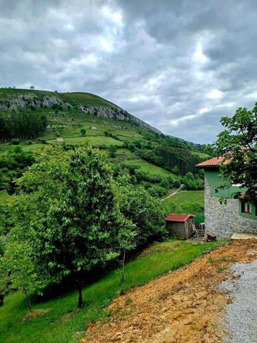 El Rincón de la Naturaleza