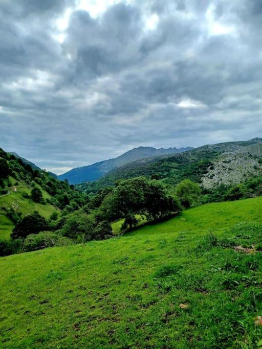 El Rincón de la Naturaleza