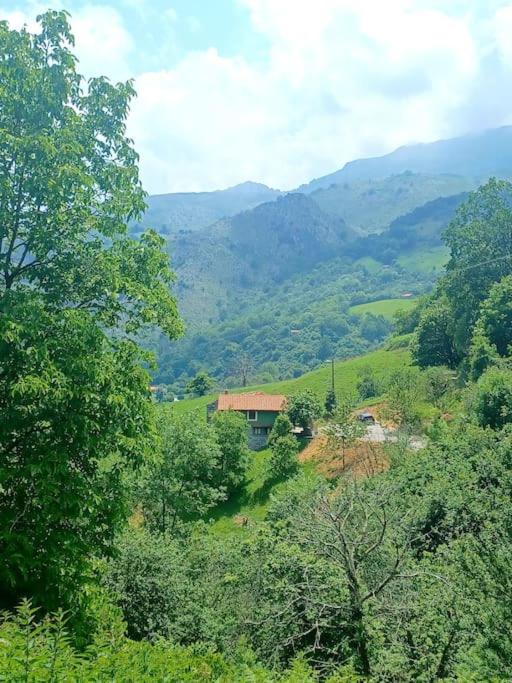 El Rincón de la Naturaleza