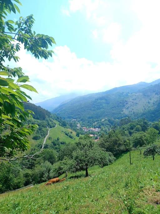 El Rincón de la Naturaleza