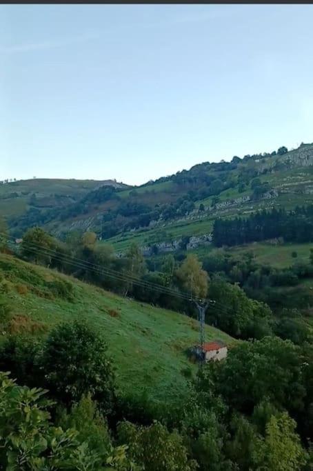 El Rincón de la Naturaleza