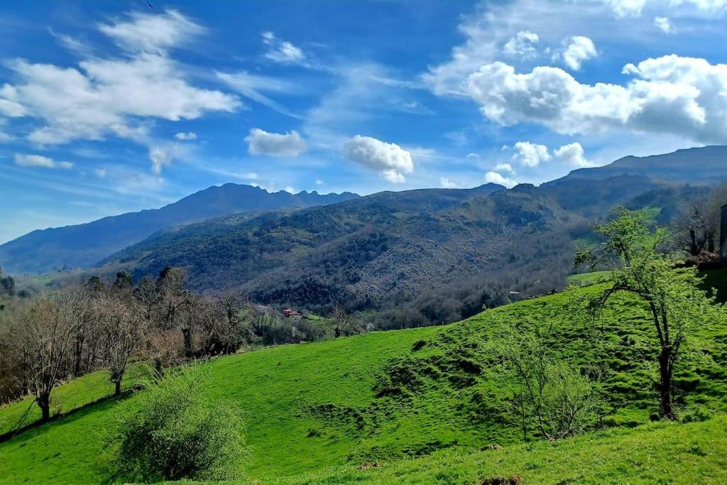 El Rincón de la Naturaleza