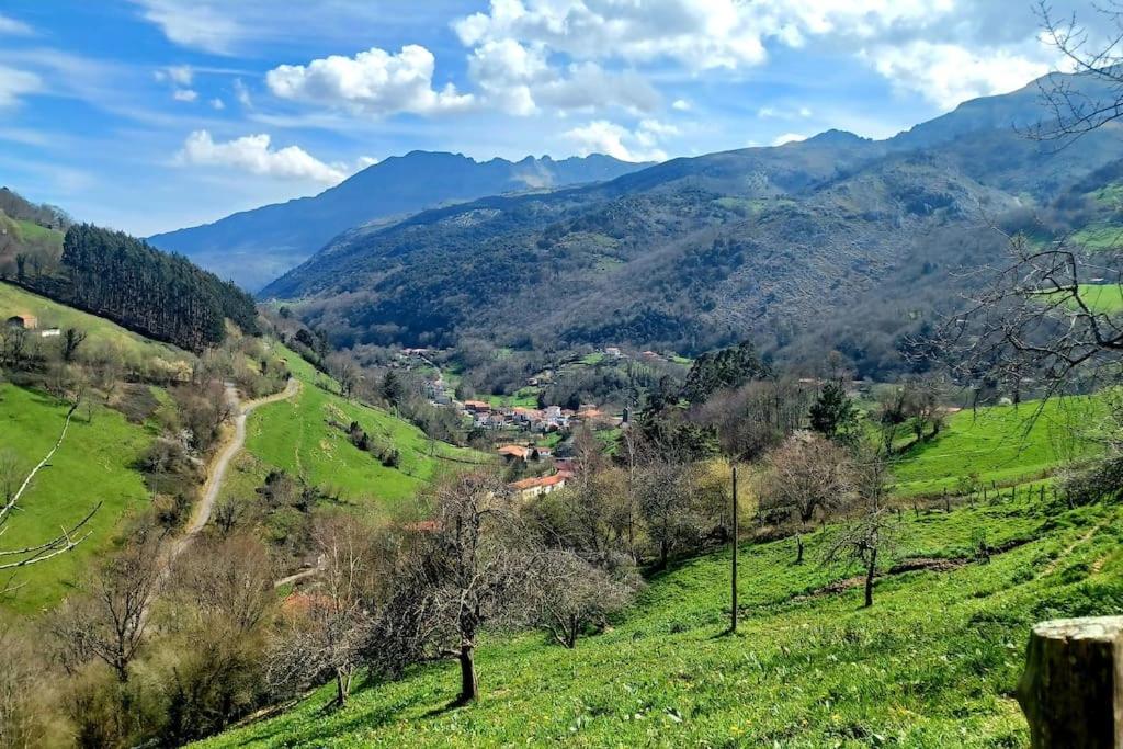 El Rincón de la Naturaleza
