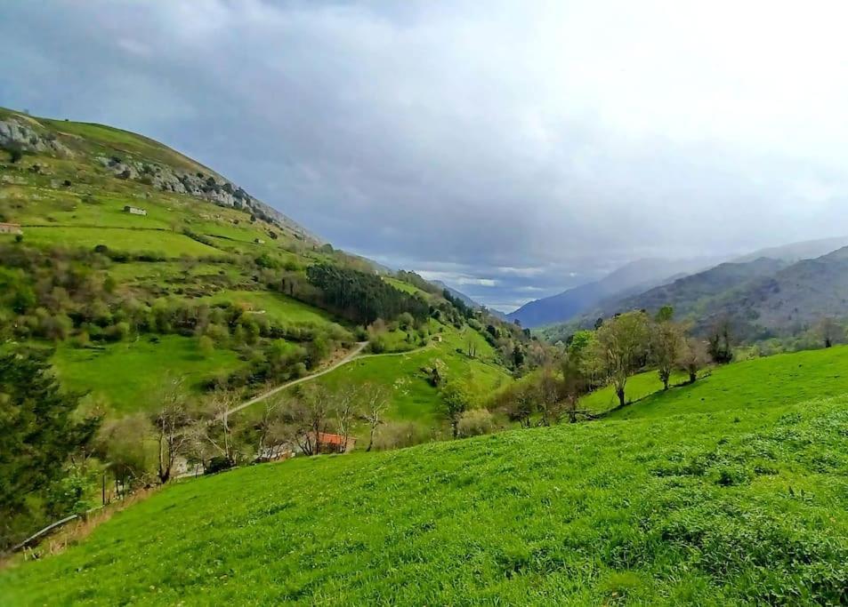 El Rincón de la Naturaleza