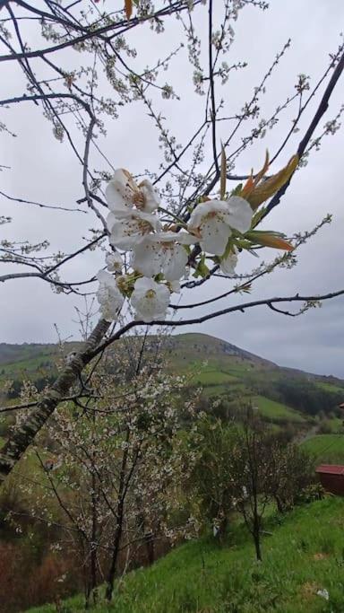 El Rincón de la Naturaleza