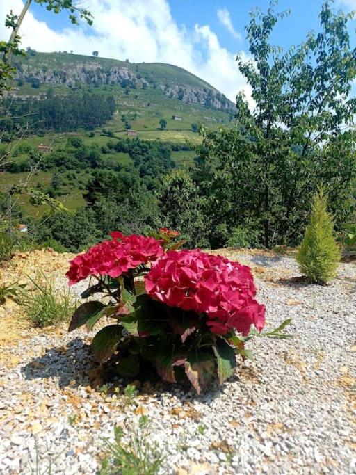 El Rincón de la Naturaleza