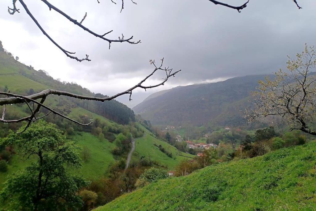 El Rincón de la Naturaleza