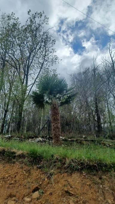 El Rincón de la Naturaleza