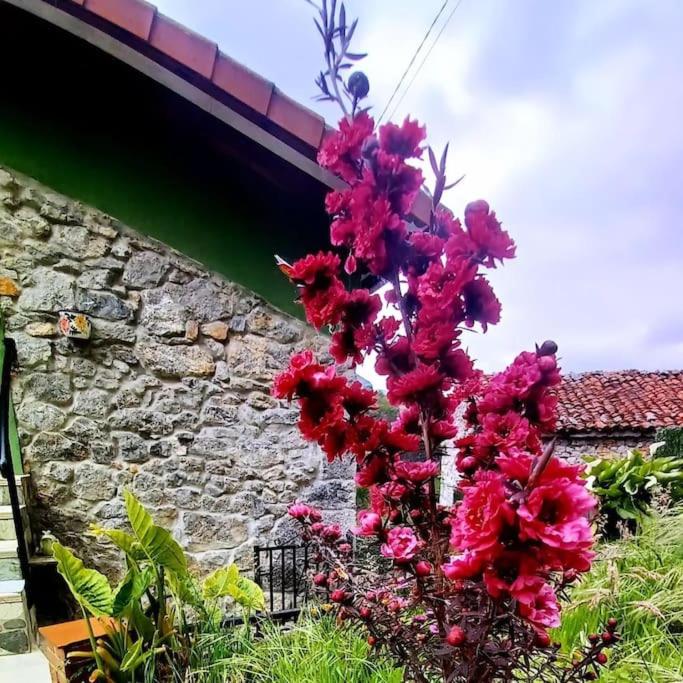 El Rincón de la Naturaleza