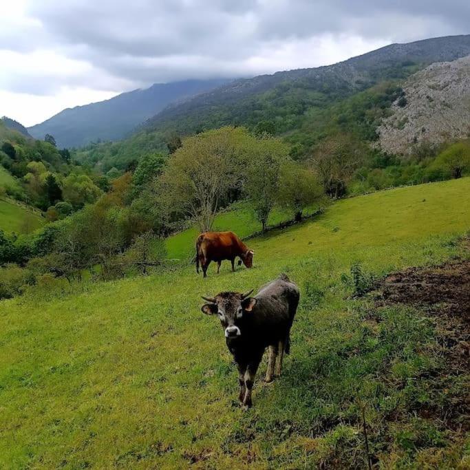 El Rincón de la Naturaleza