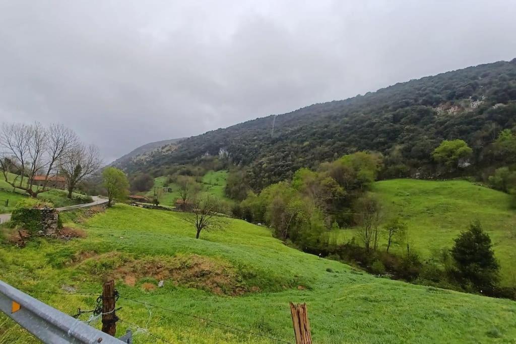 El Rincón de la Naturaleza