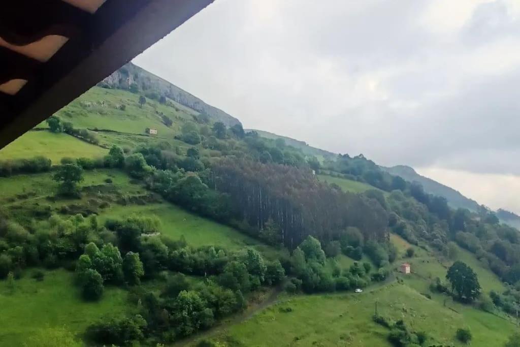 El Rincón de la Naturaleza