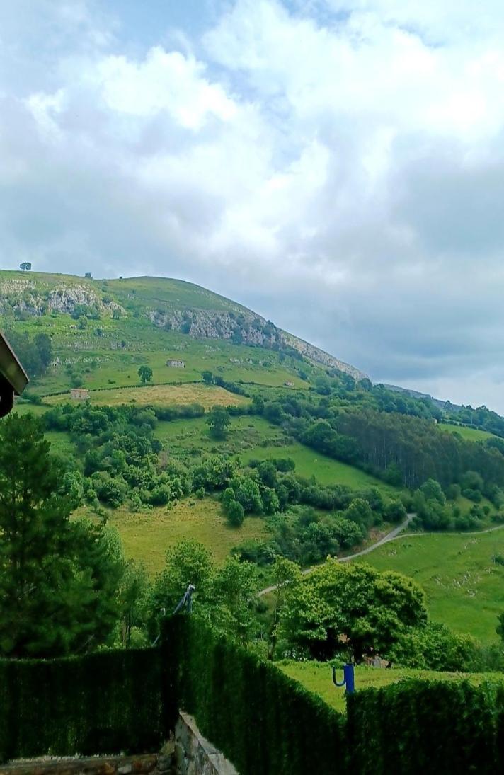 El Rincón de la Naturaleza