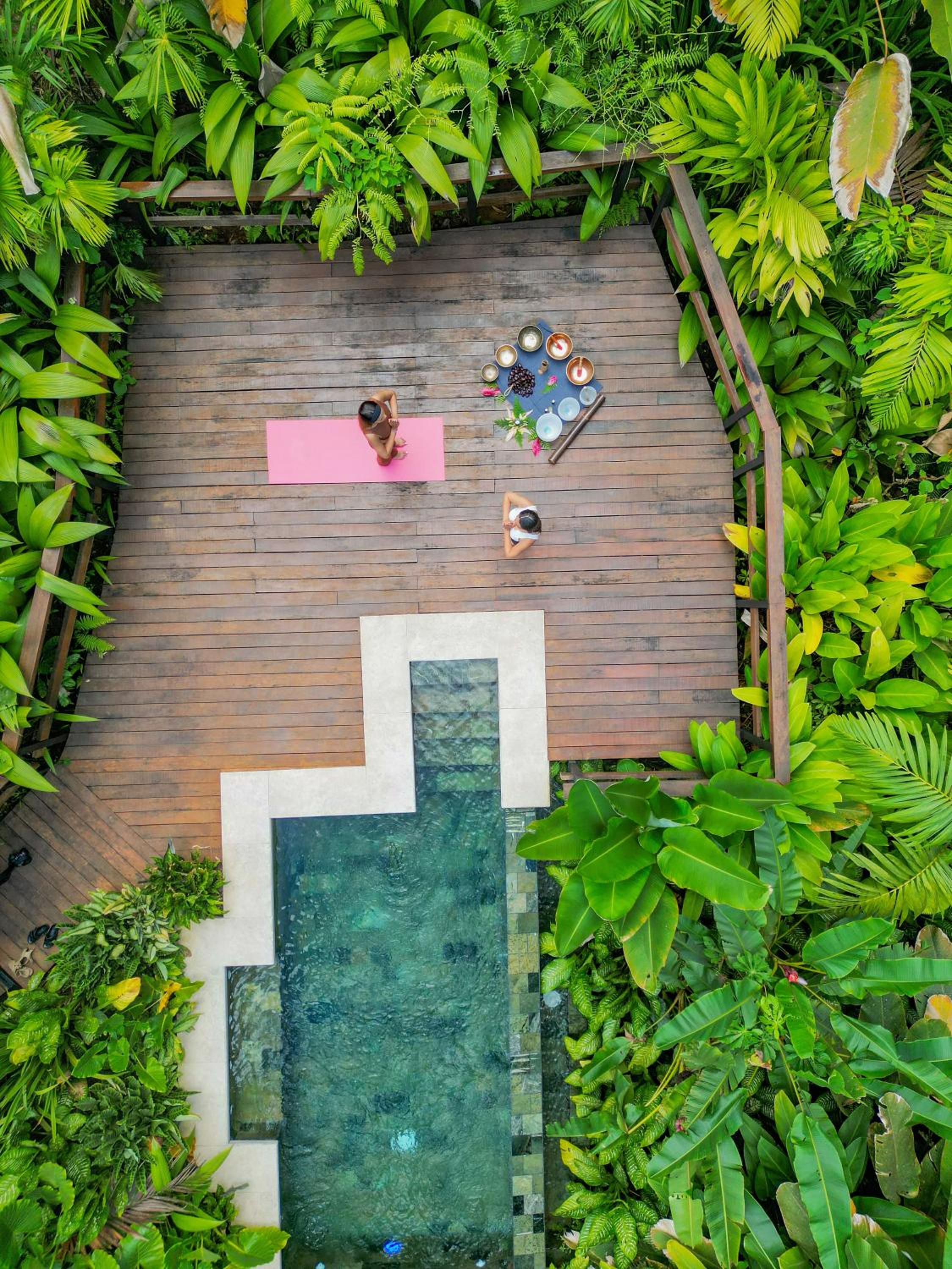 Hotel Chachagua Rainforest Lodge