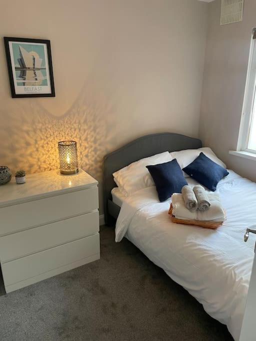 Comfortable Home in Belfast