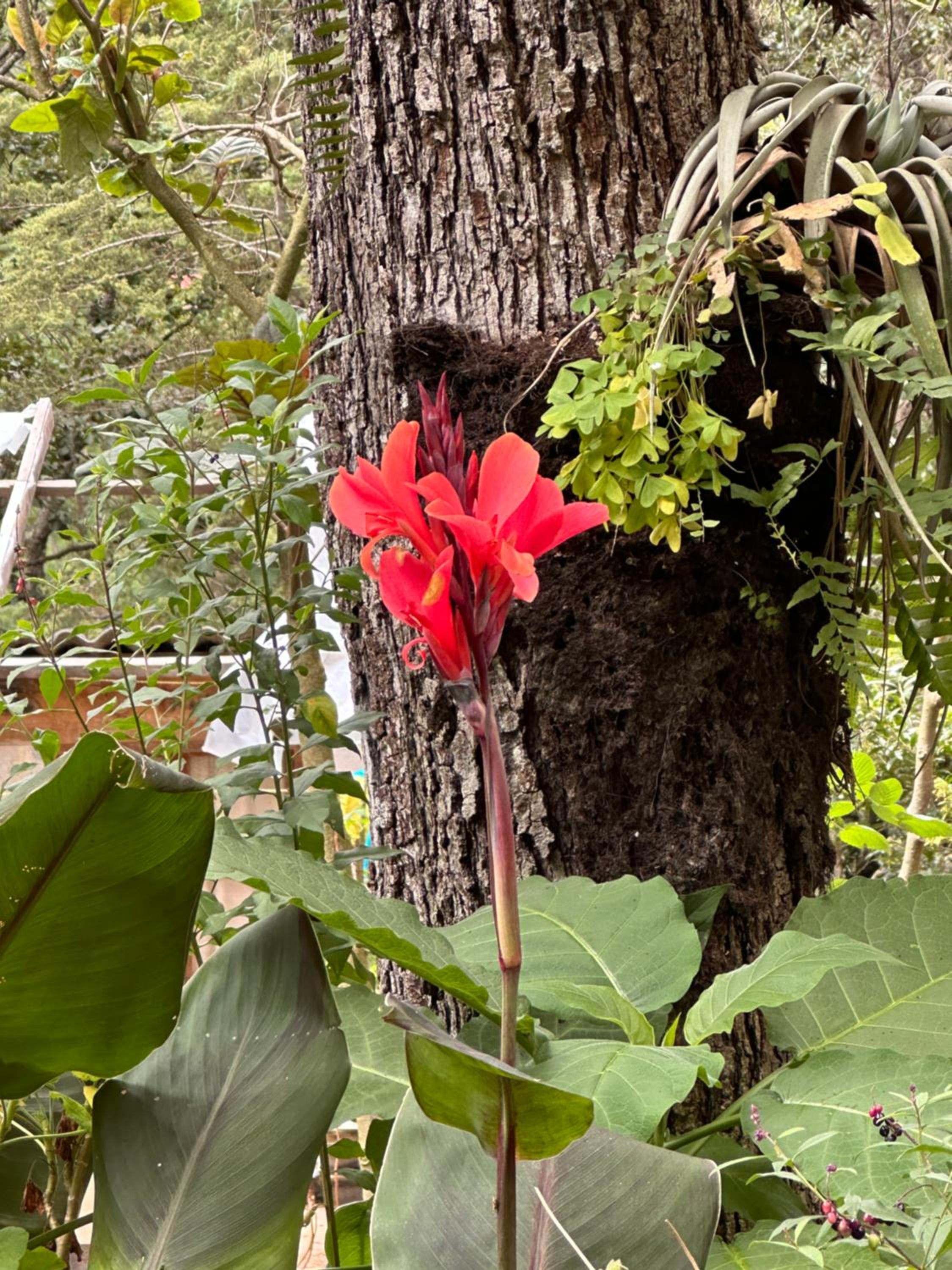 Cabaña ecológica de la granjita