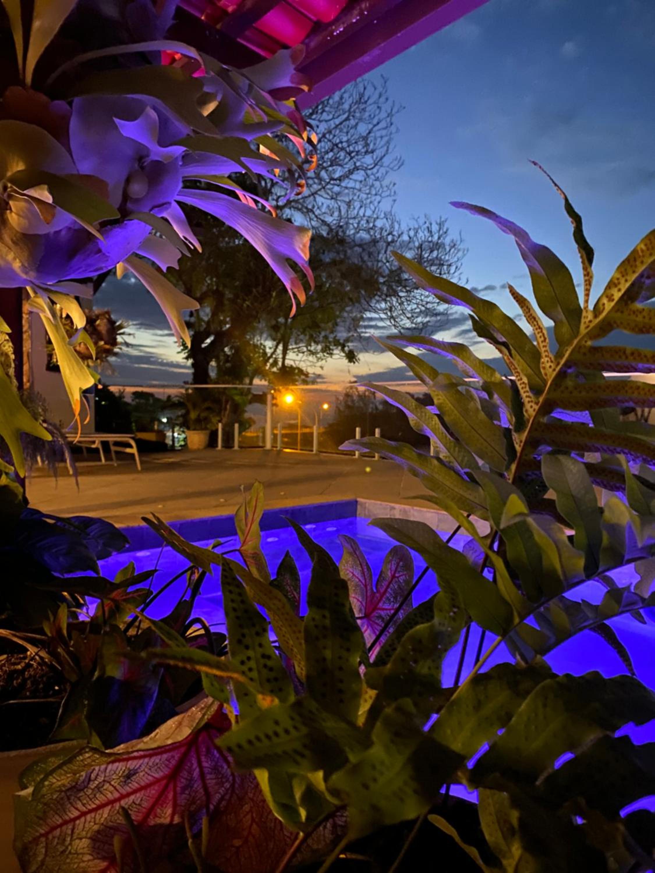 Casa da Vovó - Barra Guaratiba