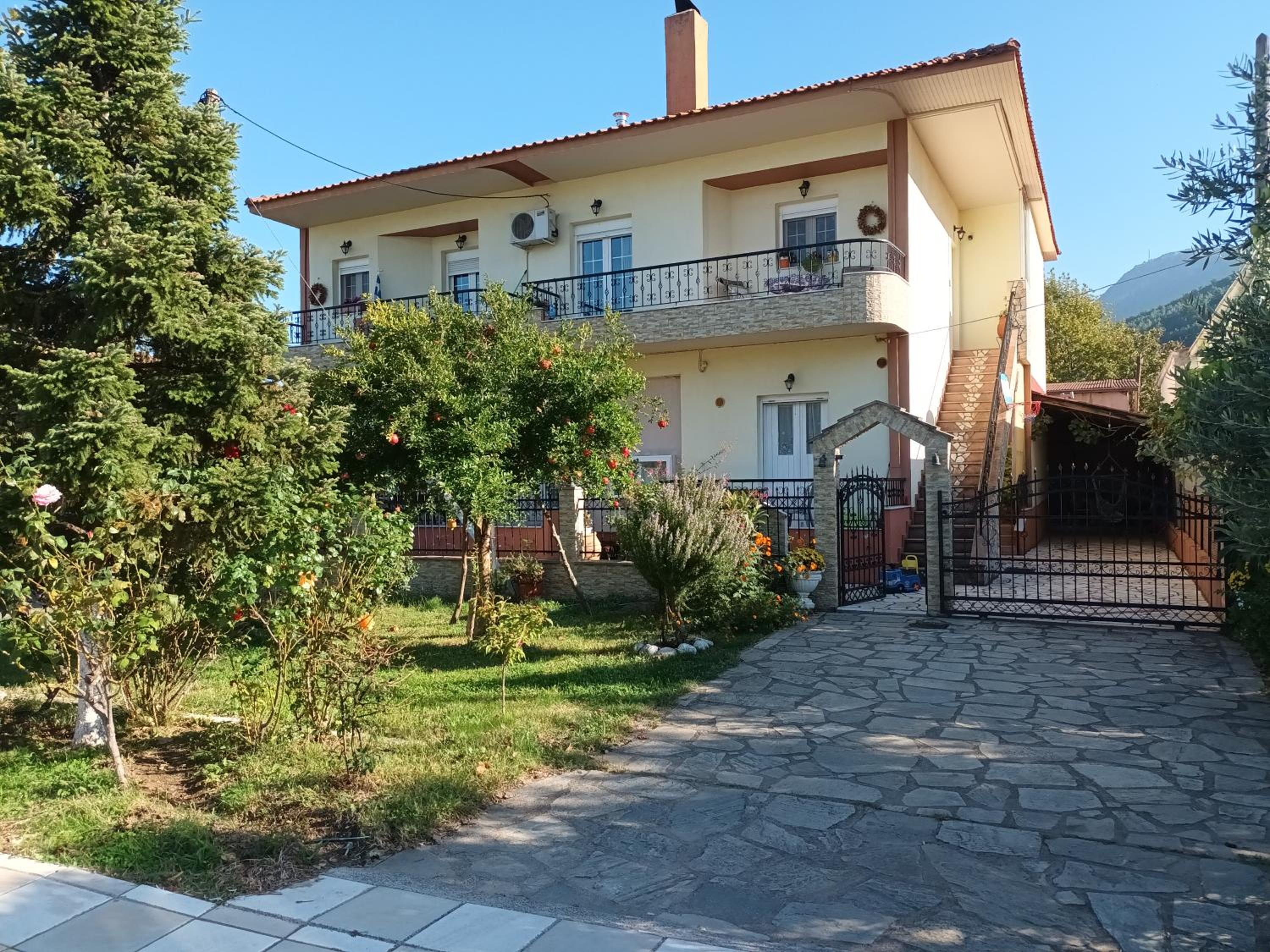 Chrysoula's home -koziakas- PYLI