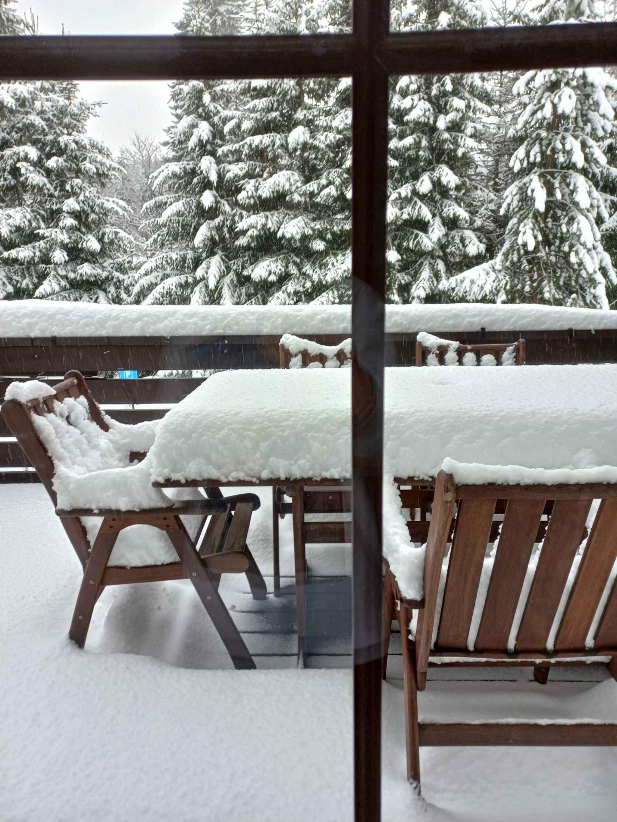 House and Apt. in Harrachov - Riesengebirge 53173