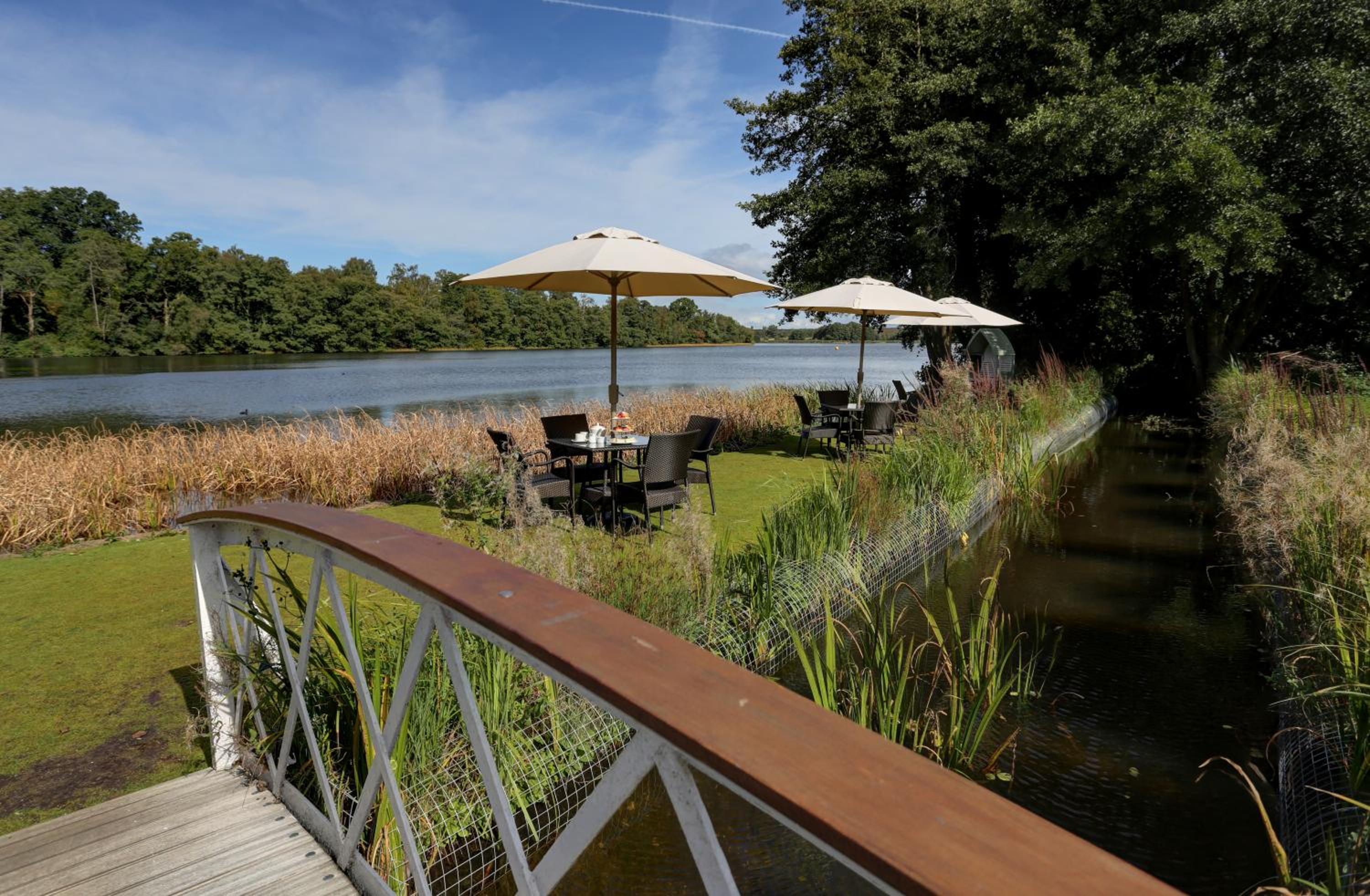Farnham Vacations - Frensham Pond Country House Hotel  Spa - Property Image 3