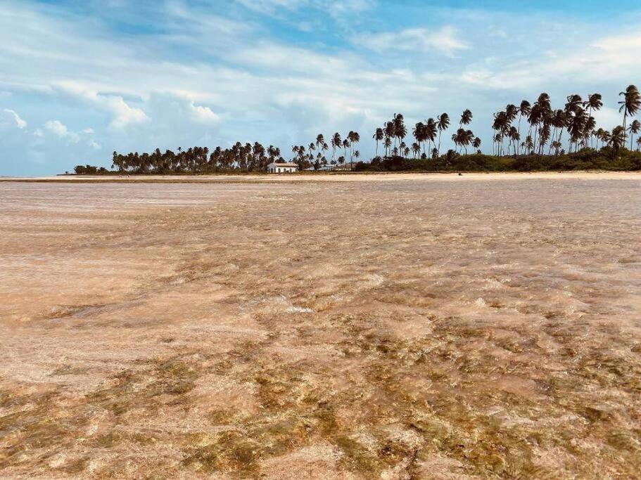 Praia do Patacho - Rota Ecológica de São Miguel dos Milagres