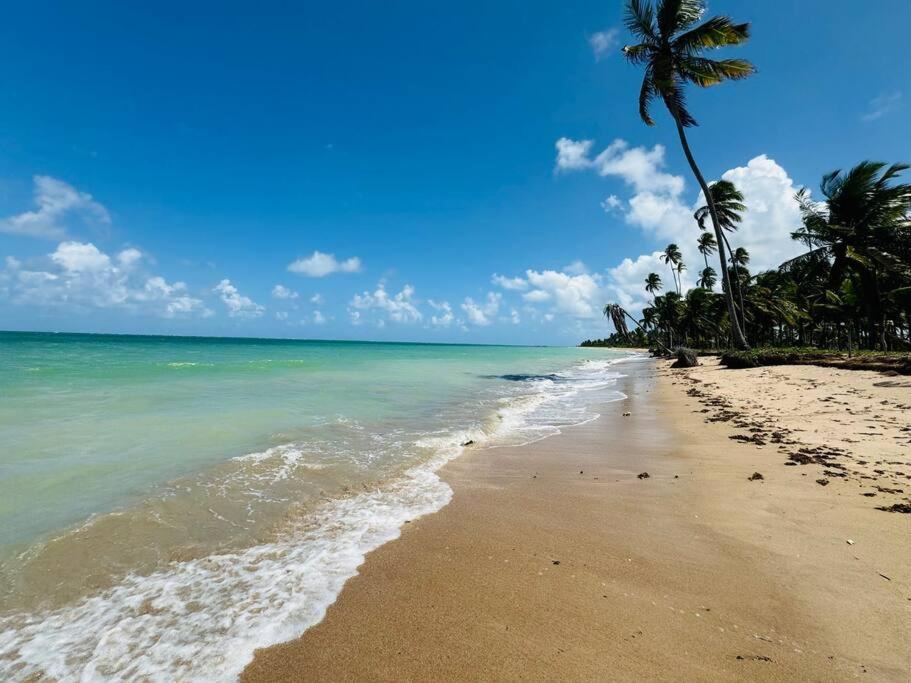 Praia do Patacho - Rota Ecológica de São Miguel dos Milagres