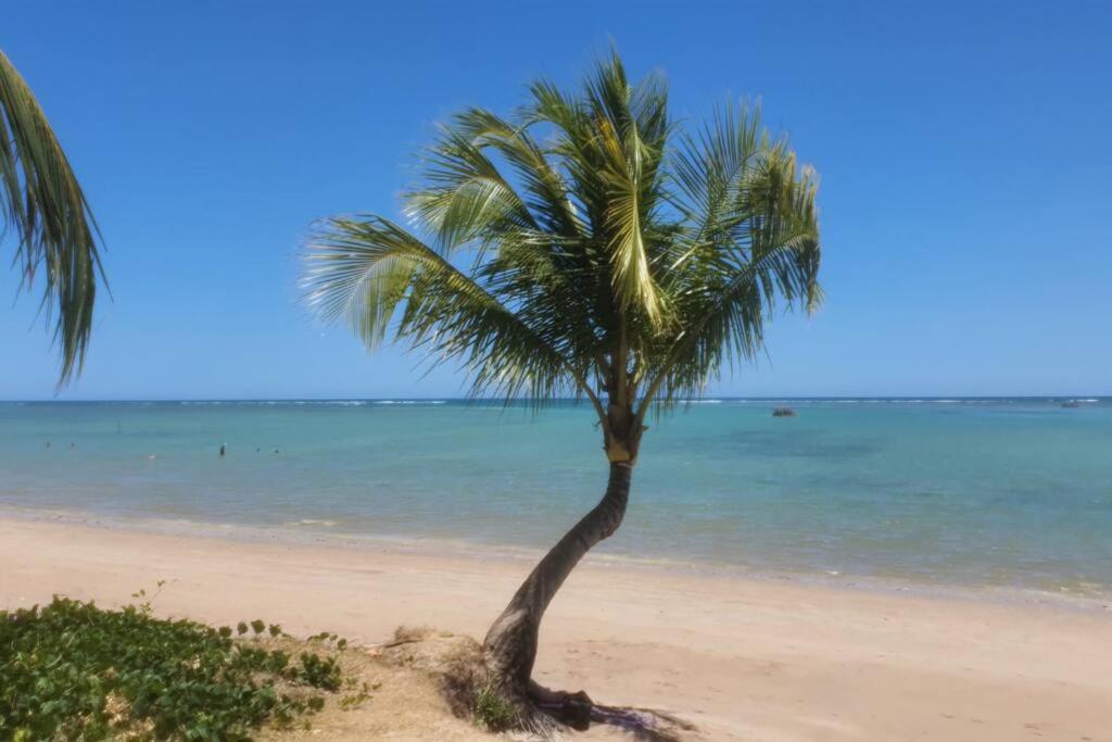 Praia do Patacho - Rota Ecológica de São Miguel dos Milagres