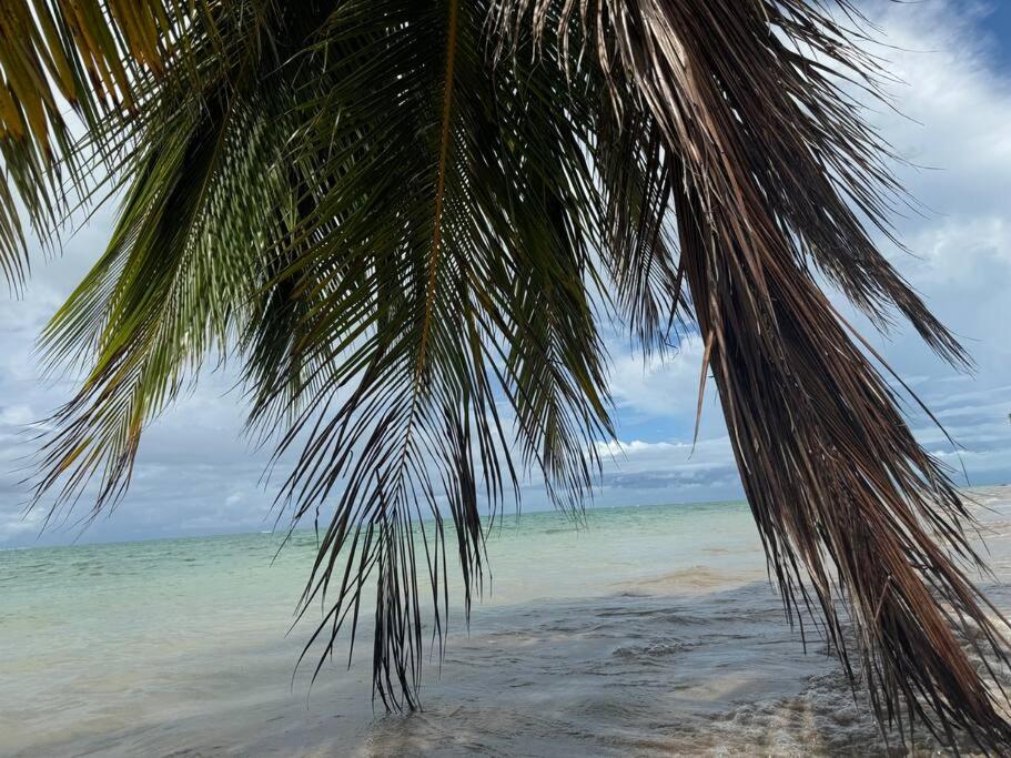 Praia do Patacho - Rota Ecológica de São Miguel dos Milagres